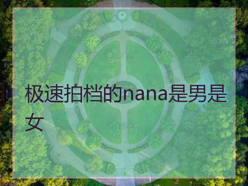 极速拍档的nana是男是女