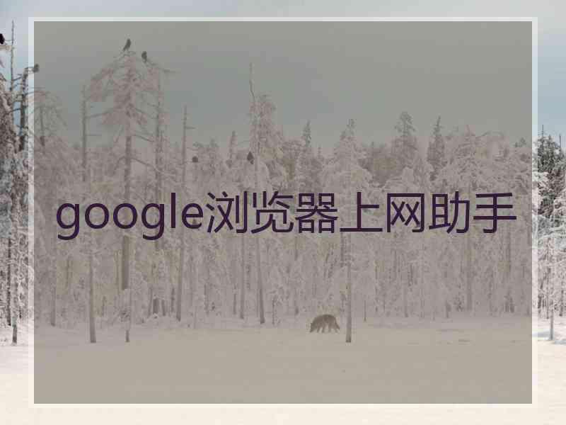 google浏览器上网助手