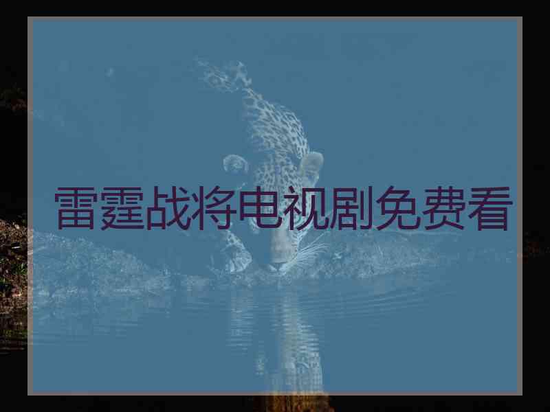 雷霆战将电视剧免费看