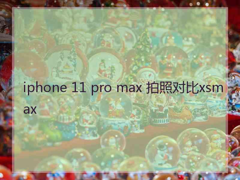 iphone 11 pro max 拍照对比xsmax