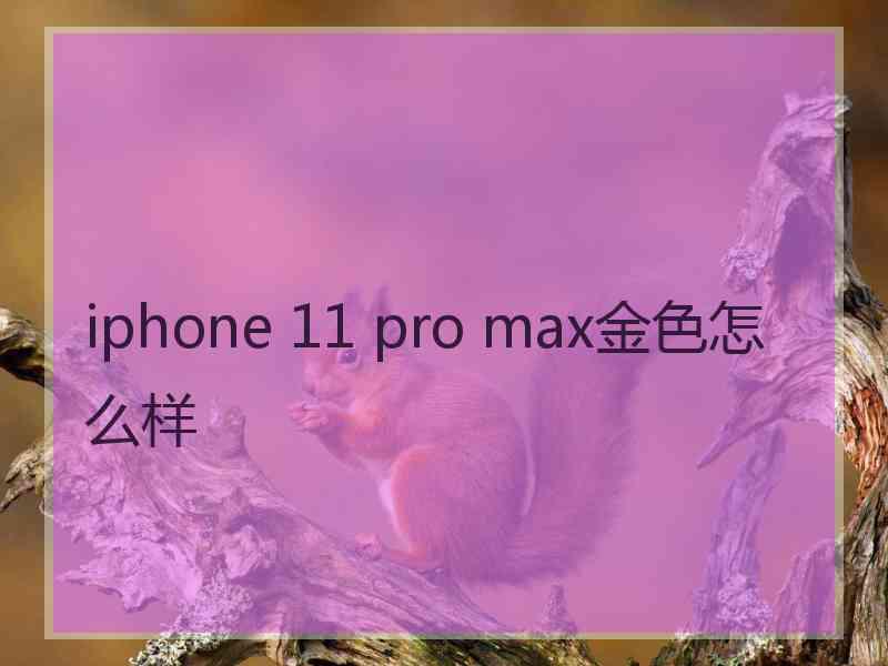 iphone 11 pro max金色怎么样