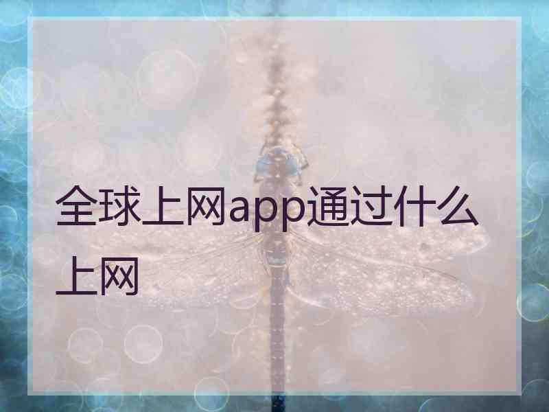 全球上网app通过什么上网