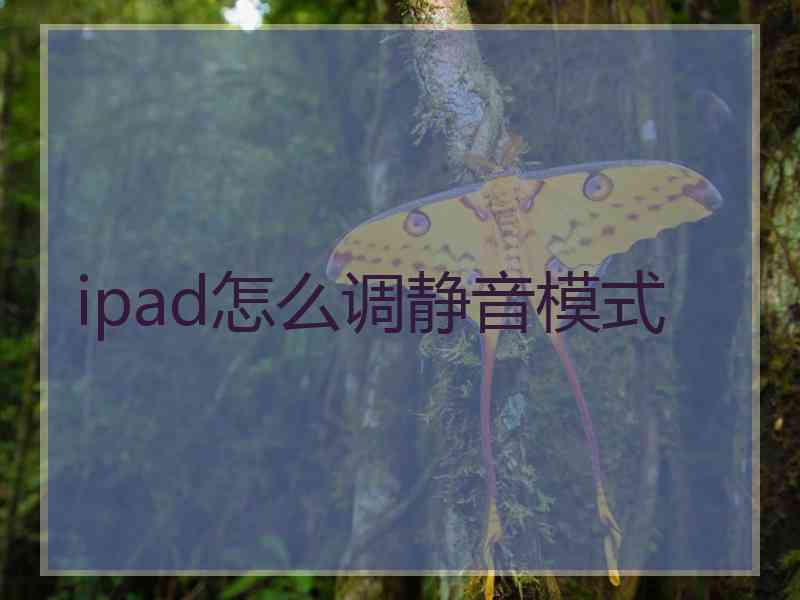 ipad怎么调静音模式