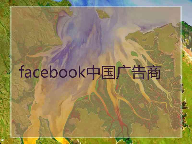 facebook中国广告商