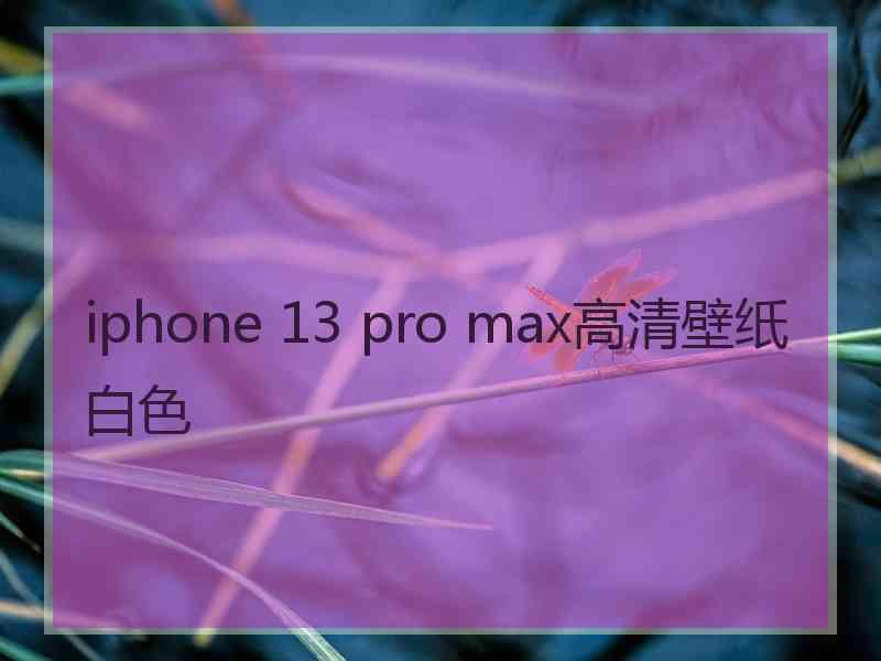 iphone 13 pro max高清壁纸白色