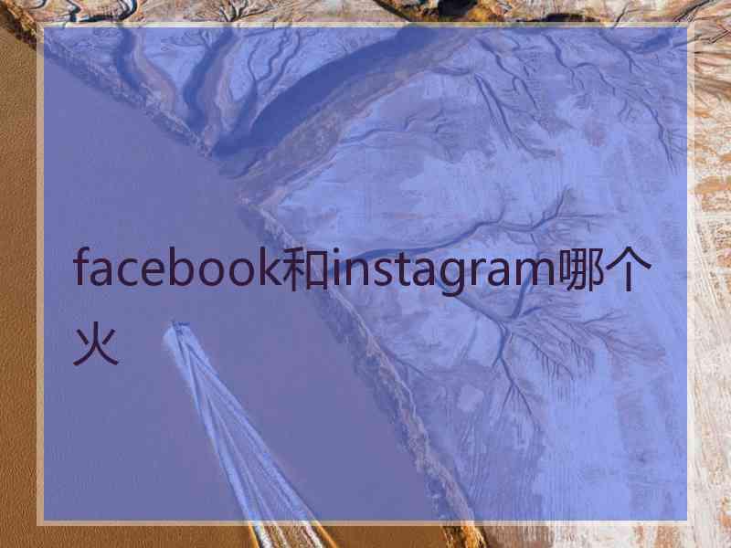 facebook和instagram哪个火