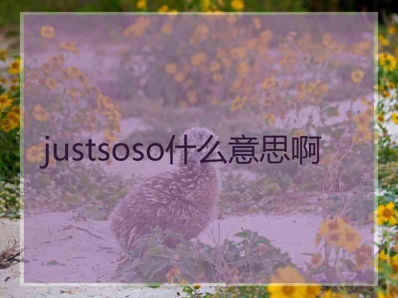 justsoso什么意思啊