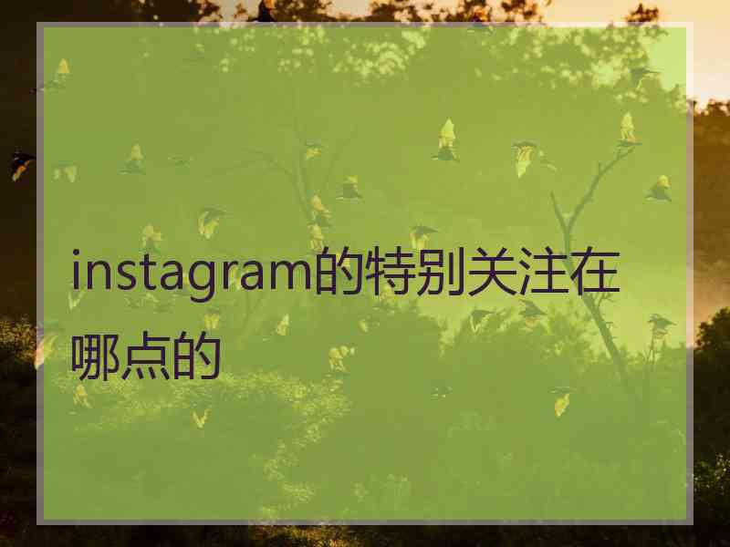 instagram的特别关注在哪点的