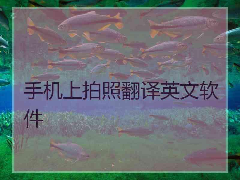 手机上拍照翻译英文软件