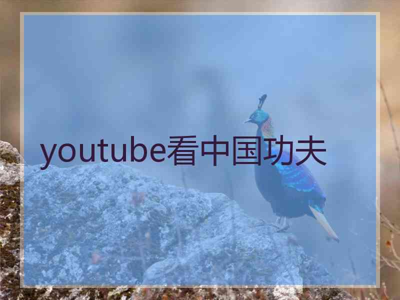 youtube看中国功夫