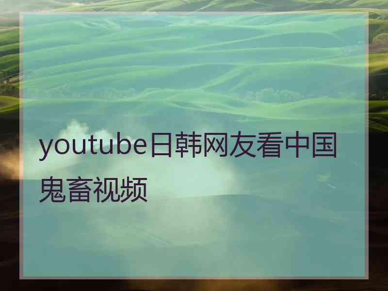 youtube日韩网友看中国鬼畜视频