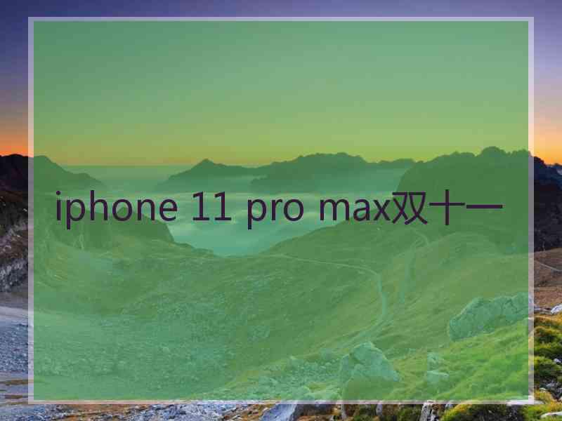 iphone 11 pro max双十一