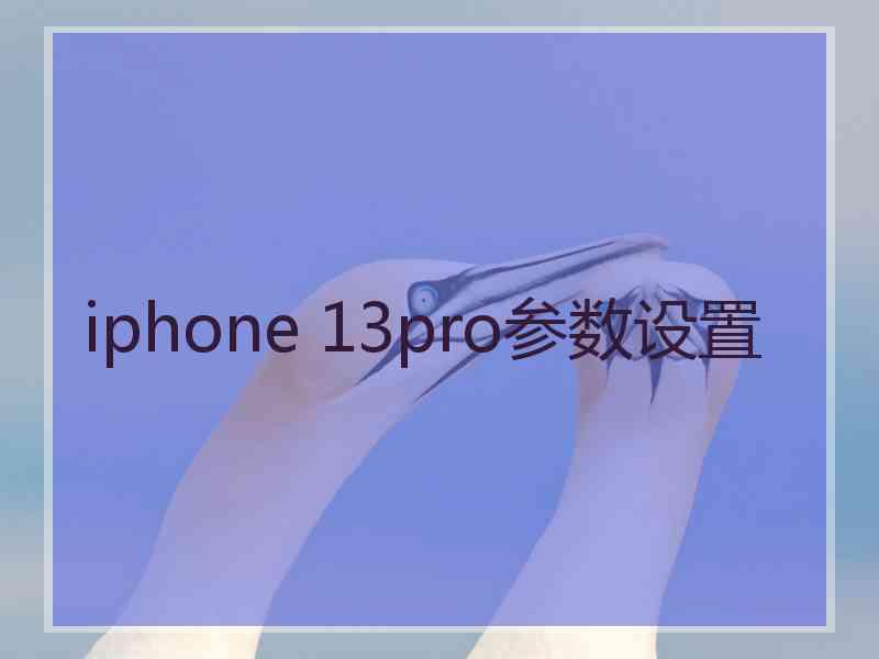 iphone 13pro参数设置