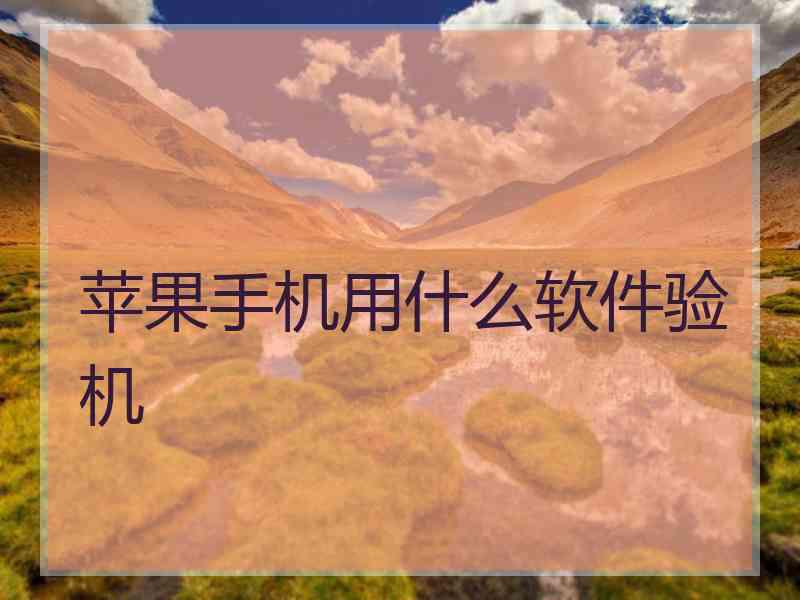 苹果手机用什么软件验机