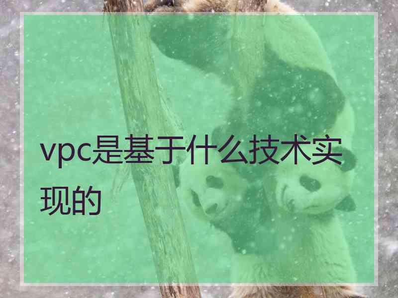 vpc是基于什么技术实现的