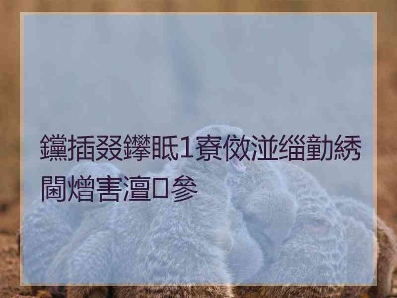 钂插叕鑻眡1寮傚湴缁勭綉閫熷害澶參