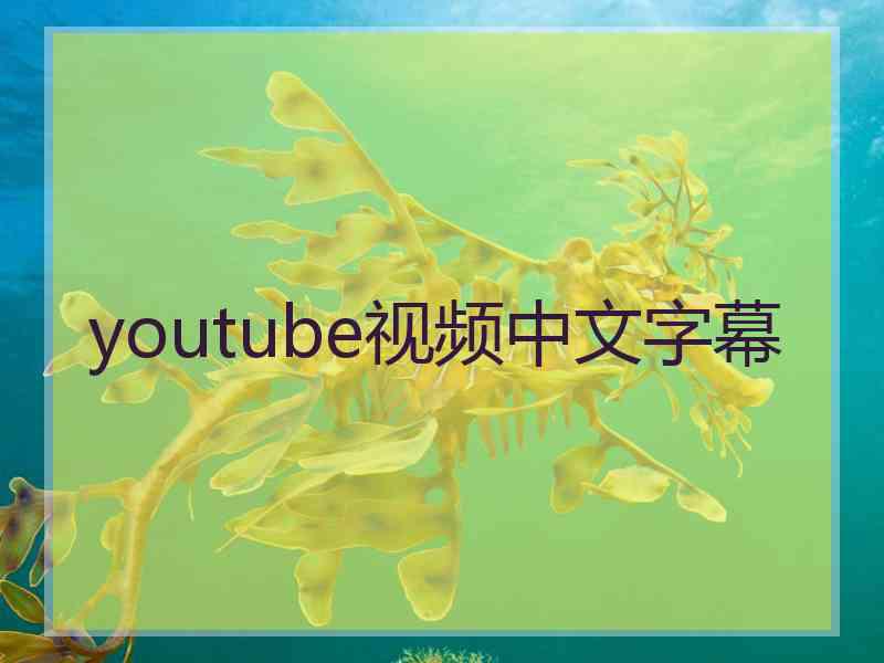 youtube视频中文字幕