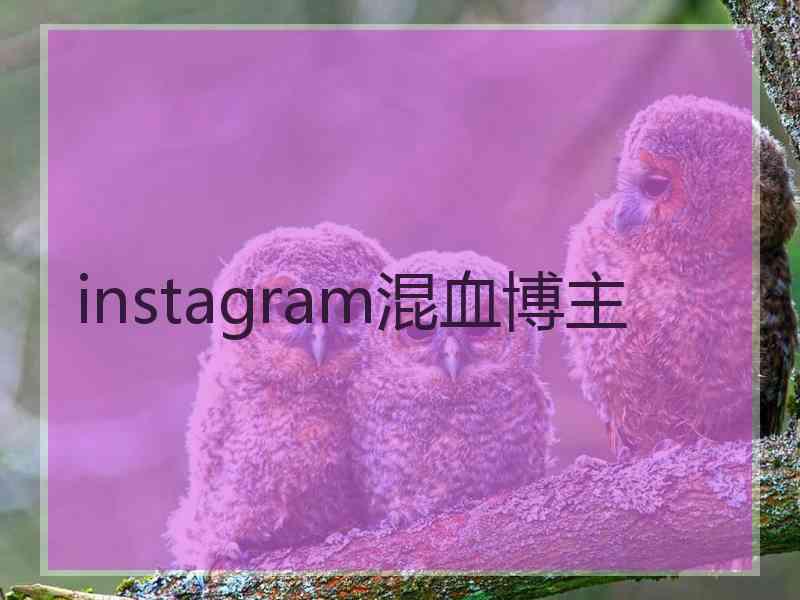 instagram混血博主