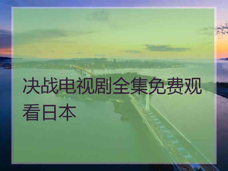 决战电视剧全集免费观看日本