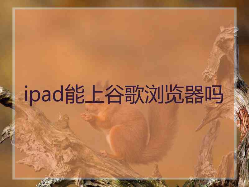 ipad能上谷歌浏览器吗