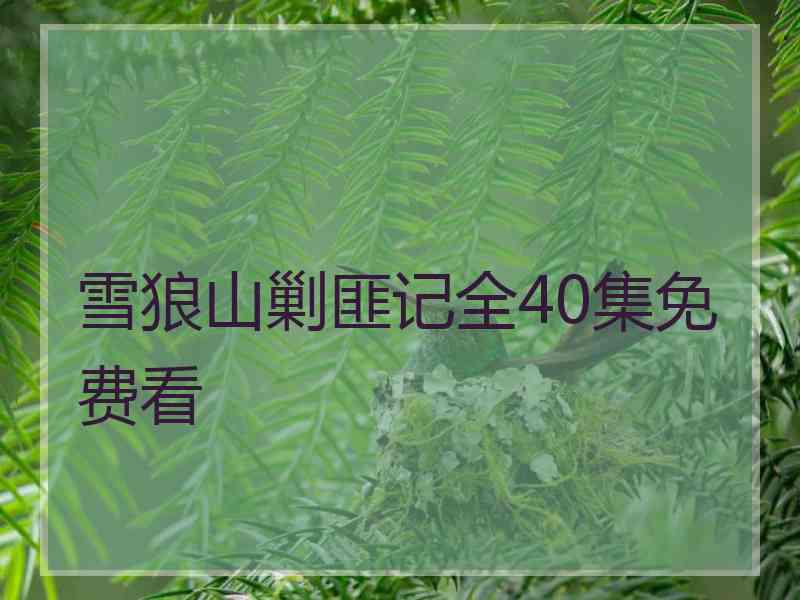 雪狼山剿匪记全40集免费看