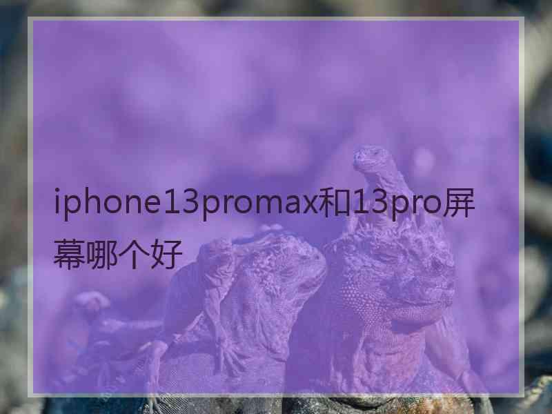 iphone13promax和13pro屏幕哪个好