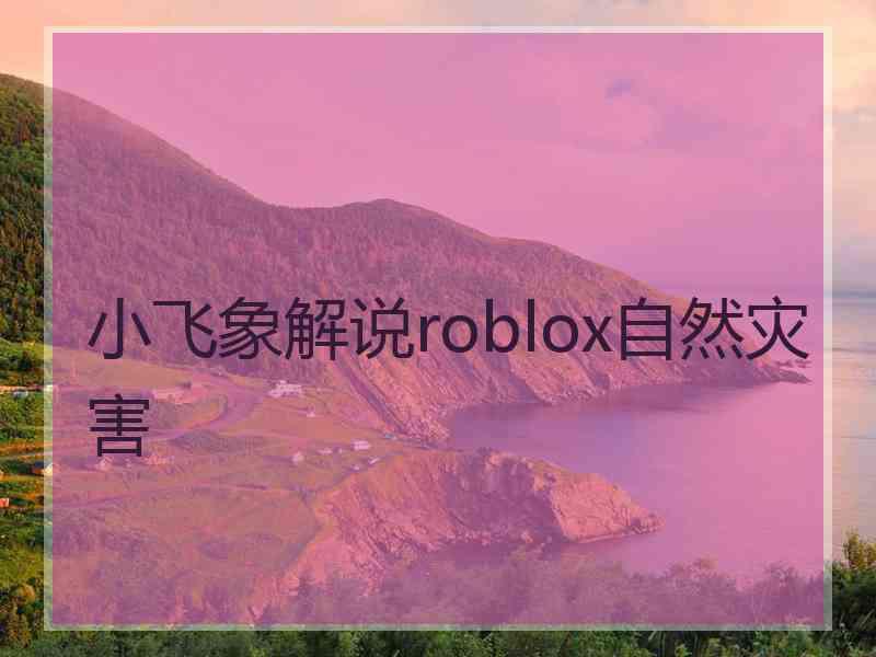 小飞象解说roblox自然灾害