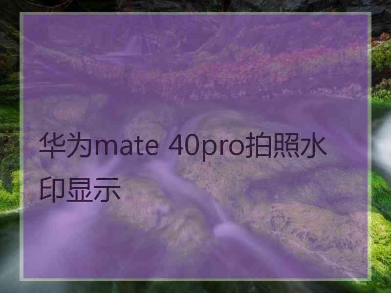 华为mate 40pro拍照水印显示