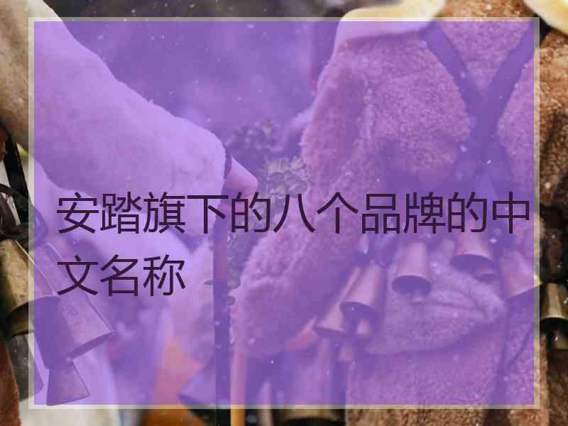 安踏旗下的八个品牌的中文名称