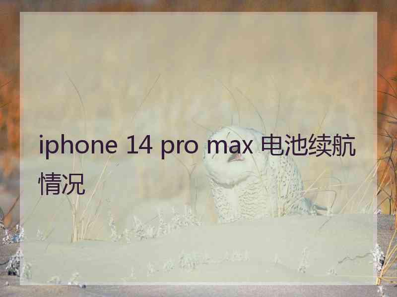 iphone 14 pro max 电池续航情况