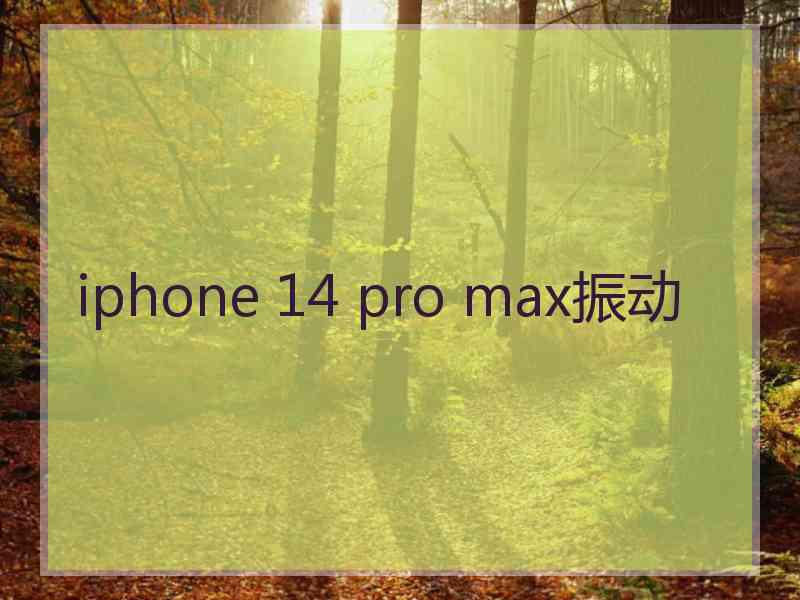 iphone 14 pro max振动