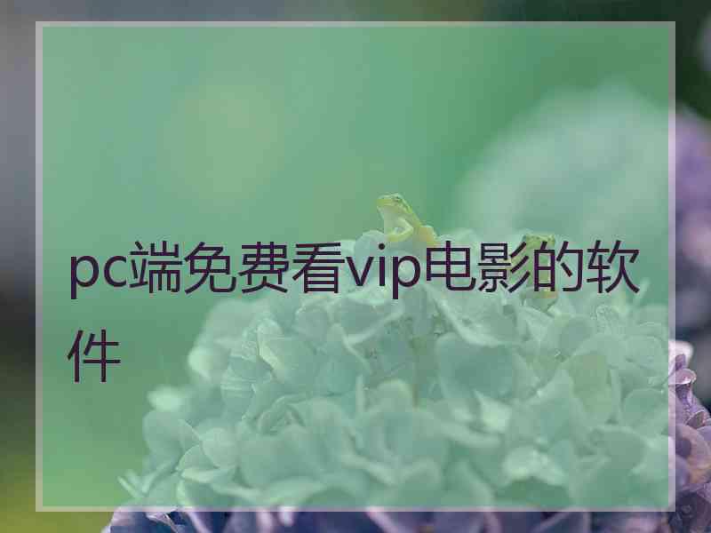 pc端免费看vip电影的软件