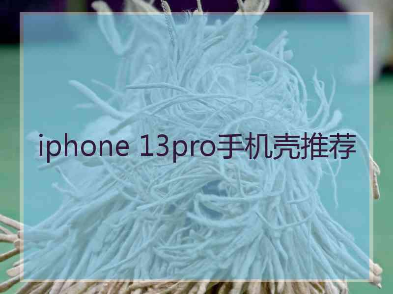 iphone 13pro手机壳推荐