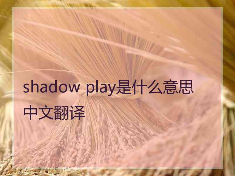 shadow play是什么意思中文翻译