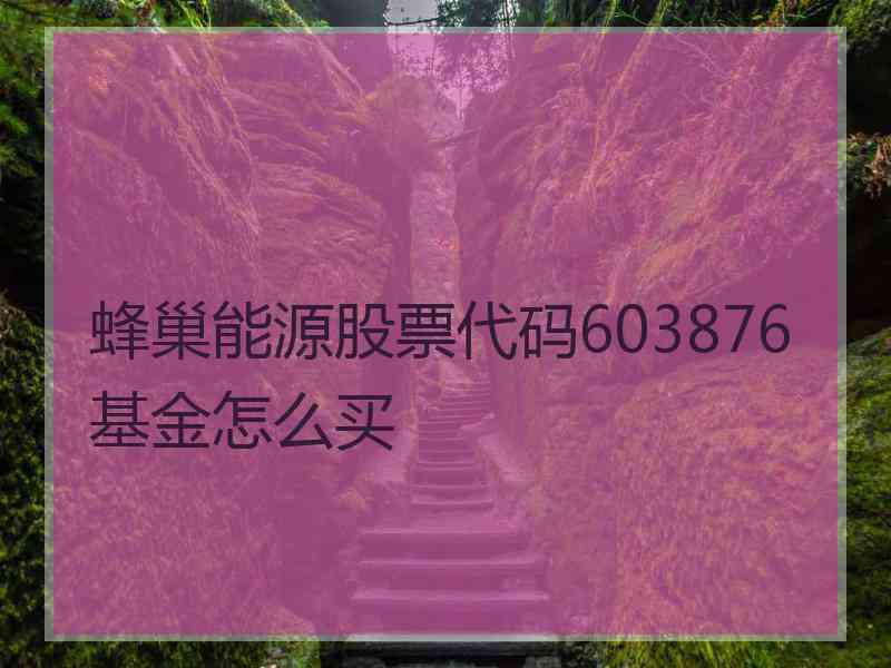 蜂巢能源股票代码603876基金怎么买