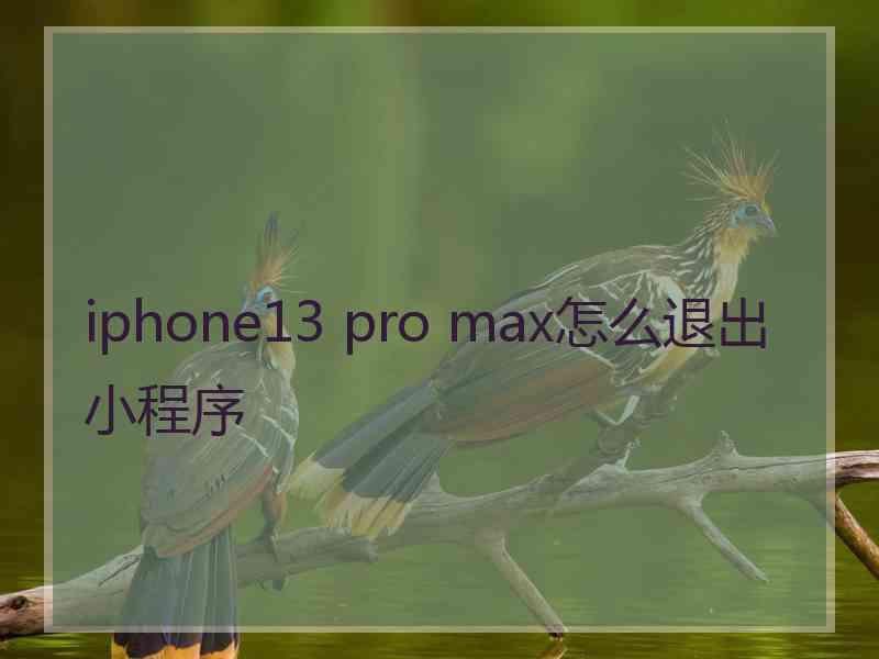 iphone13 pro max怎么退出小程序