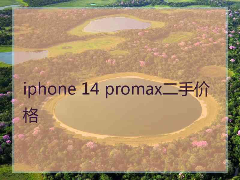 iphone 14 promax二手价格