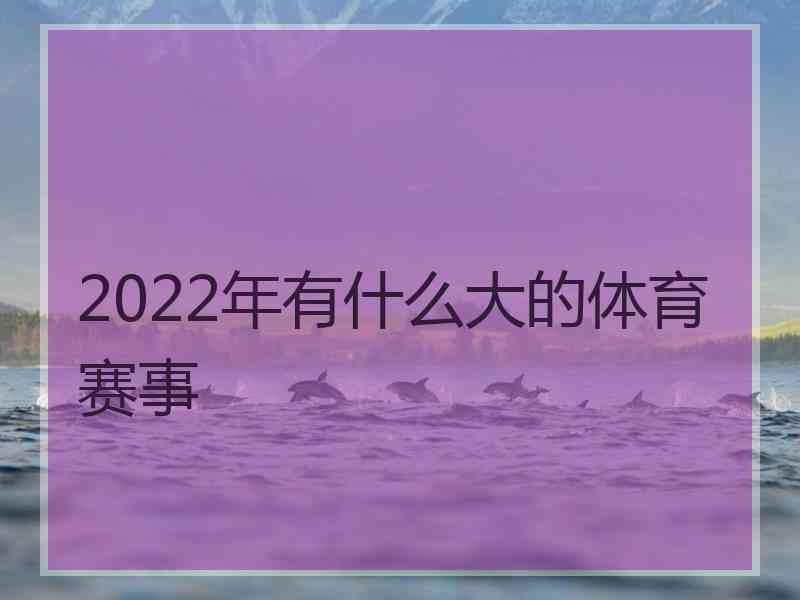 2022年有什么大的体育赛事