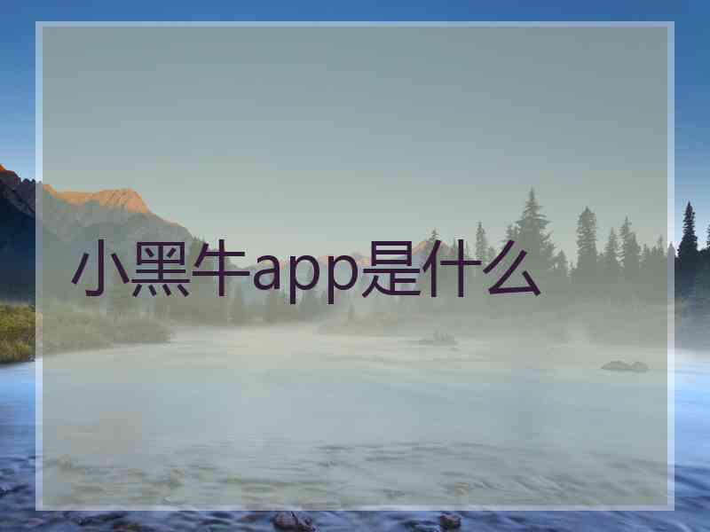 小黑牛app是什么