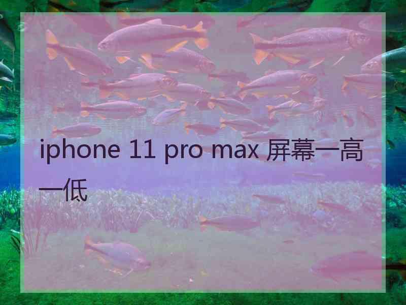 iphone 11 pro max 屏幕一高一低