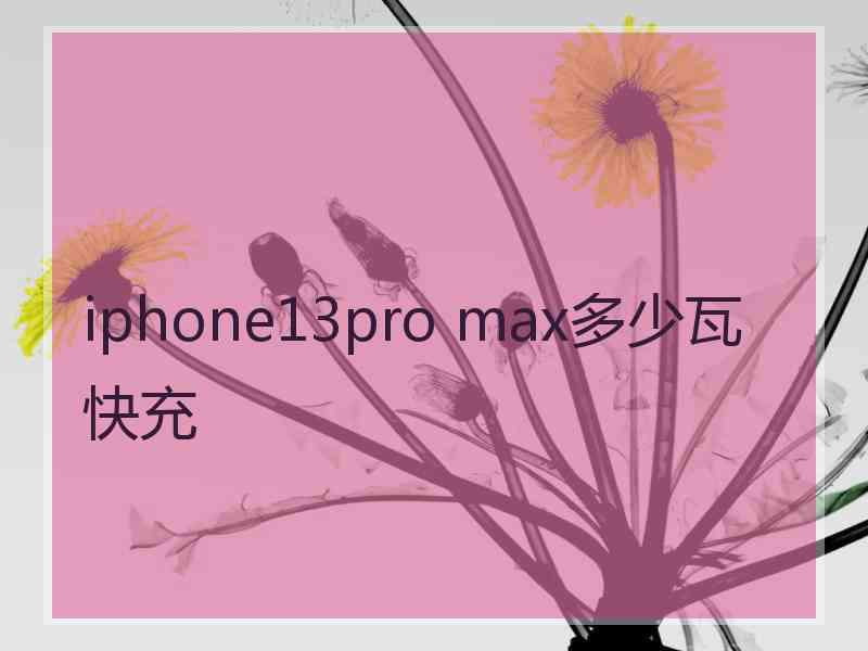 iphone13pro max多少瓦快充