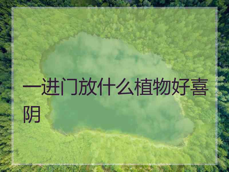 一进门放什么植物好喜阴