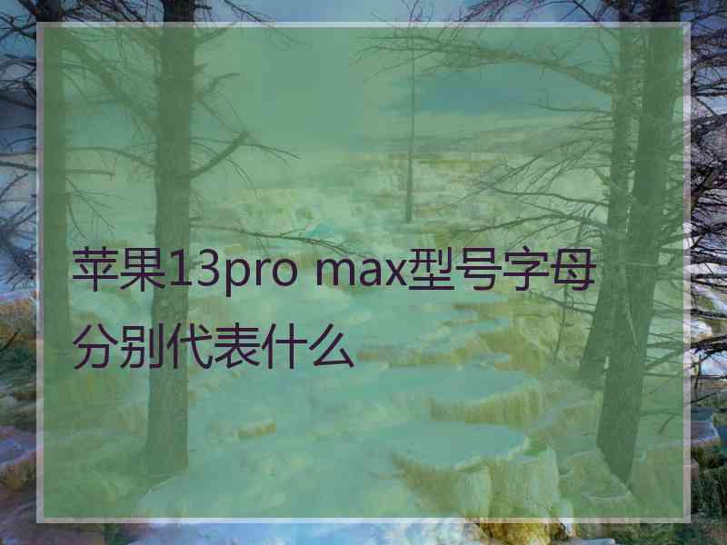 苹果13pro max型号字母分别代表什么