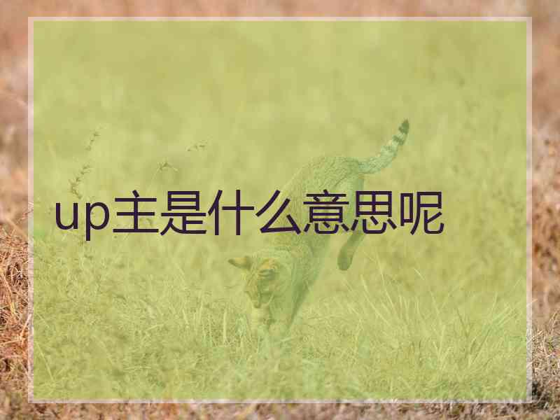 up主是什么意思呢