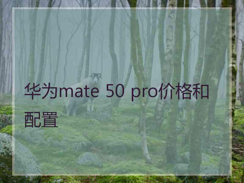 华为mate 50 pro价格和配置