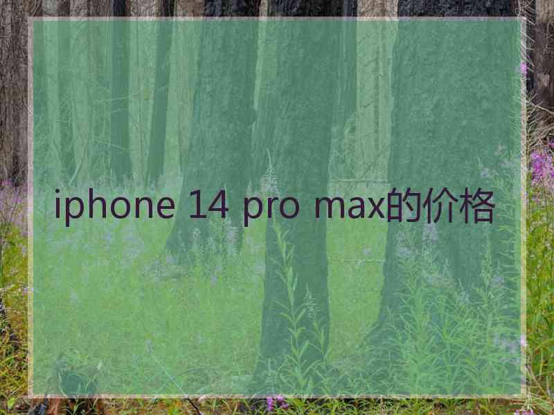 iphone 14 pro max的价格