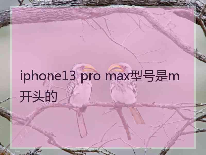 iphone13 pro max型号是m开头的