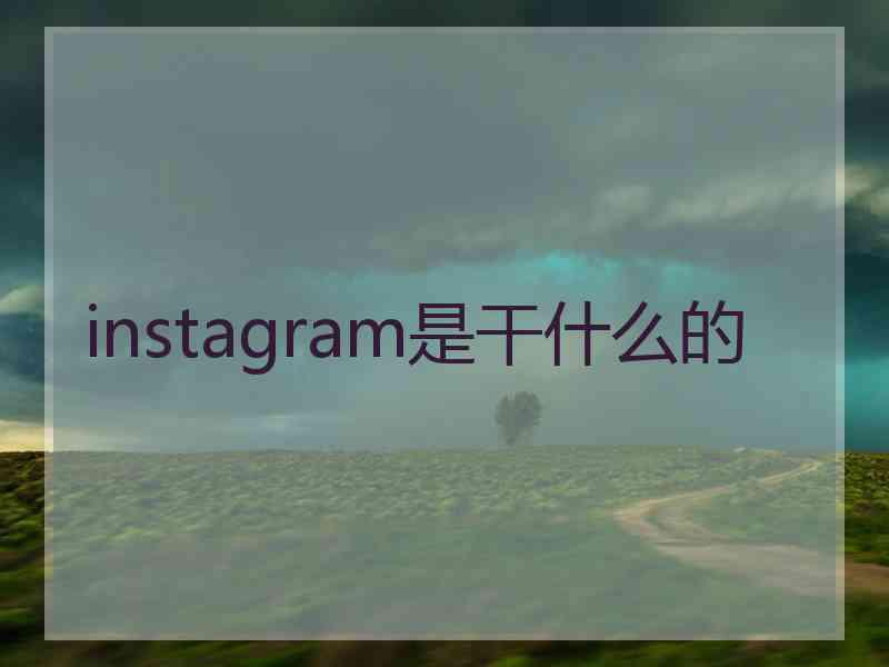 instagram是干什么的