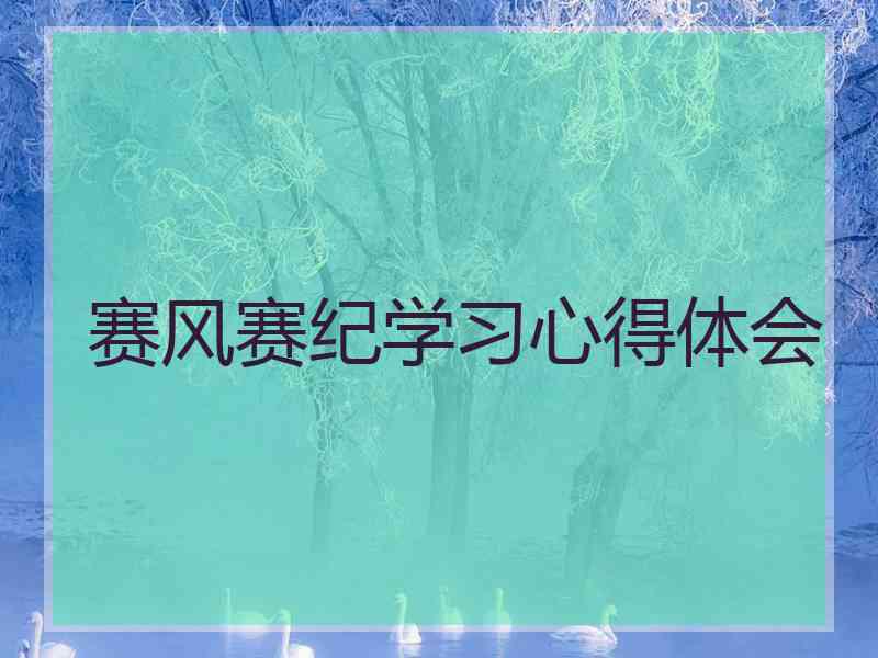 赛风赛纪学习心得体会