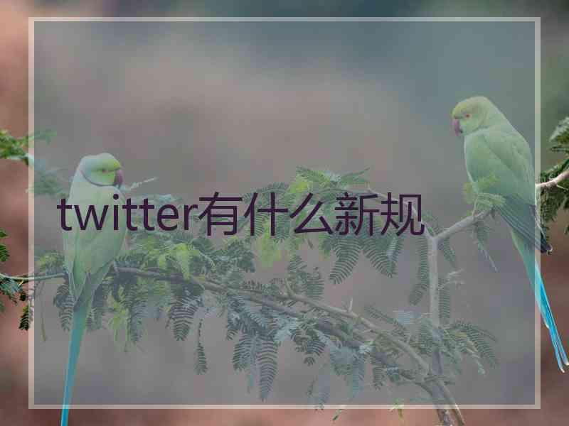 twitter有什么新规